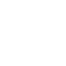 Twitter social icon