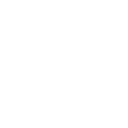 Github social icon