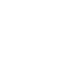 LinkedIn social icon